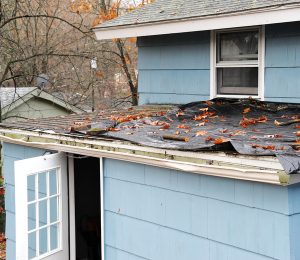so many orange leaves are fallen into a house roof