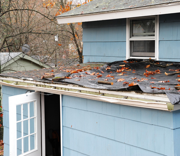so many orange leaves are fallen into a house roof